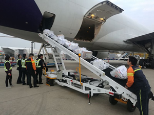 Esteira transportadora de bagagens para carga